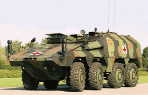 UAE seeks wheeled combat vehicle 